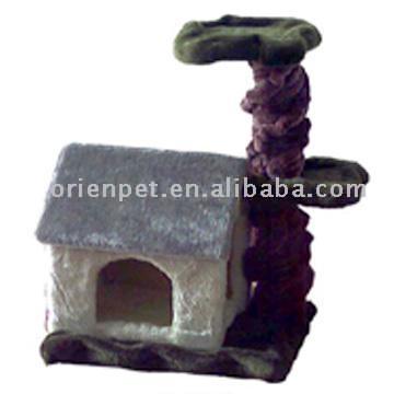  Cat House (Cat House)