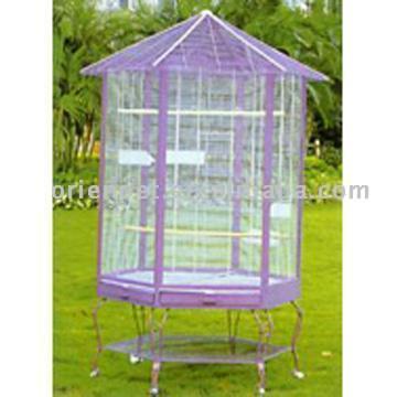 Bird Cage (Bird Cage)