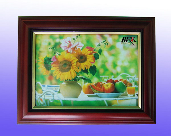  Digital Photo Frame (Cadre photo numérique)