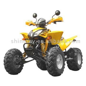  300cc ATV with EEC Homologation (300cc ATV с ЕЭС Омологация)