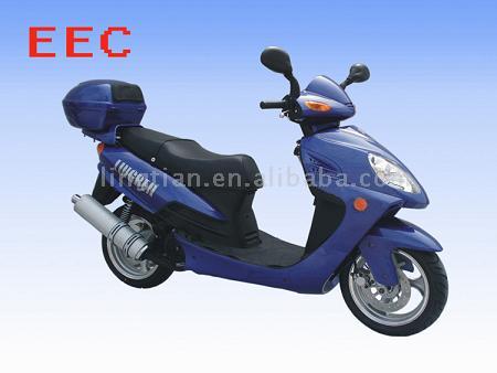  Gas Scooter (EEC Approved)
