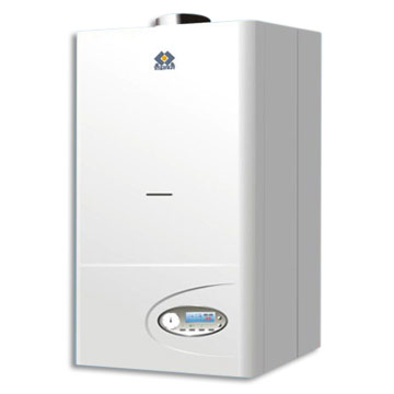  Gas Water Heater (Chauffe-eau à gaz)