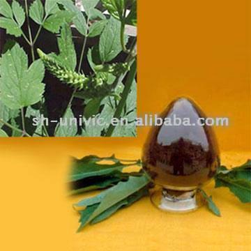  Black Cohosh P.E. ( Black Cohosh P.E.)