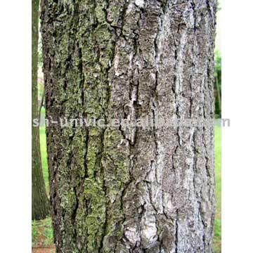 Pine Bark EW (Pine Bark EW)