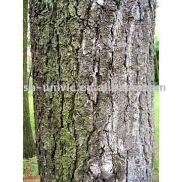  Pine Bark P.E.