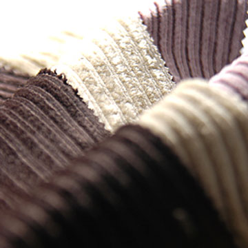  Corduroy ( Corduroy)
