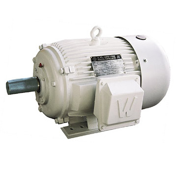  Three-Phase Asynchronous Motor