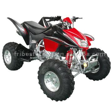  250cc ATV (Quad) (EPA, DOT Approved, Air Cooled) (250cc VTT (Quad) (EPA, approuvé DOT, refroidi par air))