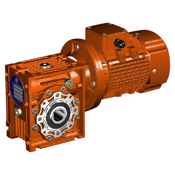  RV Series Worm Reducer (Earlier Model) ( RV Series Worm Reducer (Earlier Model))