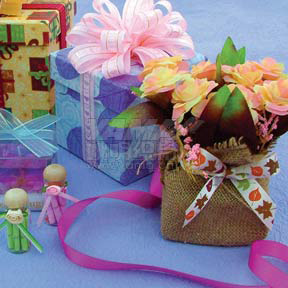  Gift Bows ( Gift Bows)