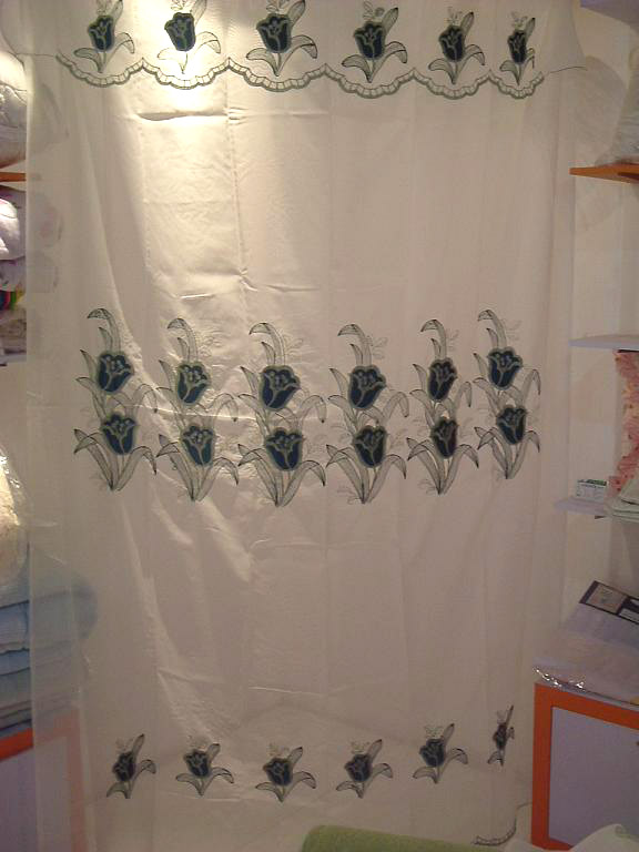 Curtain