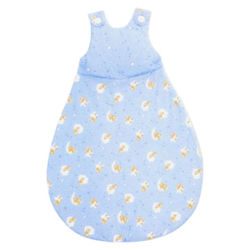  Baby Sleeping Bag ( Baby Sleeping Bag)