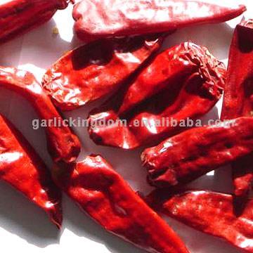  Dried(Dry),Fresh,Frozen,Powder,Paste of CHILLI From Brother Kingdom (Getrocknet (trocken), frisch, gefroren, Pulver, Paste von Chilis Von Brother Kö)