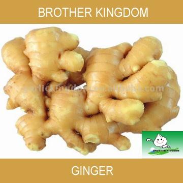  Ginger (Имбирь)