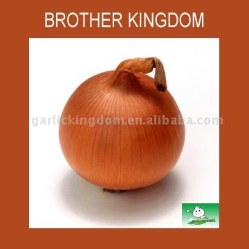  Onion (Лук)