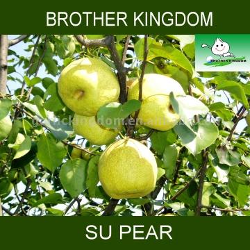  Su Pears (Су Груши)