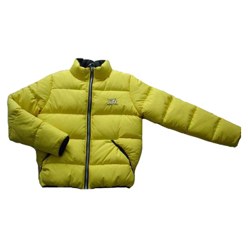 Ladies `Padded Jacket (Ladies `Padded Jacket)