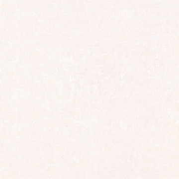  Polished Ceramic Floor Tile
