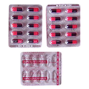  Amoxicillin Capsules (Amoxicilline gélules)