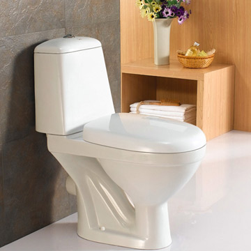  Two-Piece Toilet (Двухсекционный Туалет)