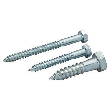  Lag Screws (Tire-fond)