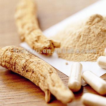  Ginseng Root And American Ginseng Extract For Pharmaceuticals (Ginseng und American Ginseng Extract for Pharmaceuticals)