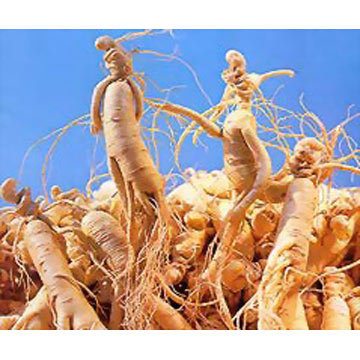 Ginseng and American Ginseng Polysaccharides for Cancer