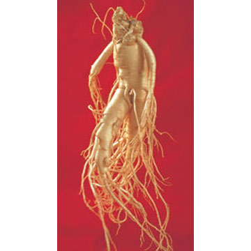  Ginseng Root and American Ginseng Extract for Beverage (Корня женьшеня и американского женьшеня экстракт для напитков)