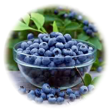  Bilberry Extract (Экстракт черники)