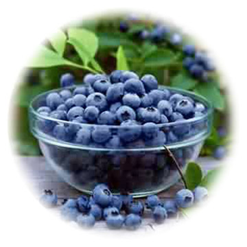  Bilberry Extract