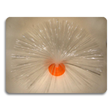  UFO Light (UFO Light)