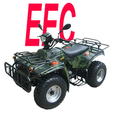  ATV (EEC, COC) JYG250ST (ATV (CEE, COC) JYG250ST)