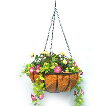  Coco Planter