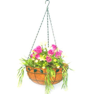  Coco Planter (Коко Planter)