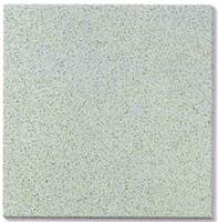  Salt and Pepper Polished Tile