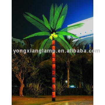 Coconut Tree Lamp (Coconut Tree Lamp)