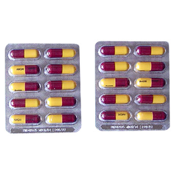  Amoxycillin Capsules (Amoxicilline gélules)