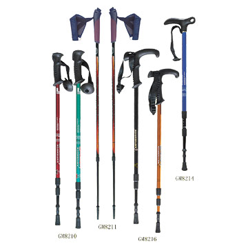  Walking Stick ( Walking Stick)