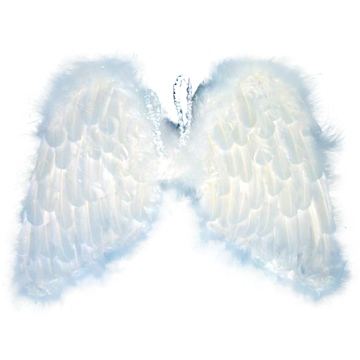  Angel Wings (Крылья ангела)