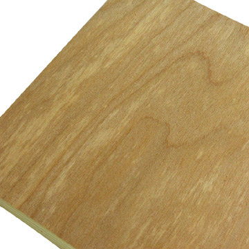 Maple Birkensperrholz (Maple Birkensperrholz)
