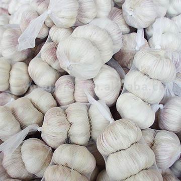  Garlic (Чеснок)