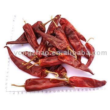  Yidu Chilli (Yidu Chilli)