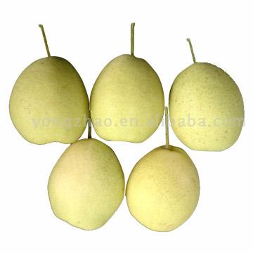  Chinese Fresh Pear (Frais chinois Poire)