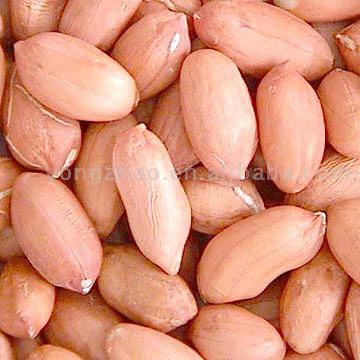  Peanut Kernels (Arachides décortiquées)