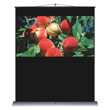  Portable Screen ( Portable Screen)