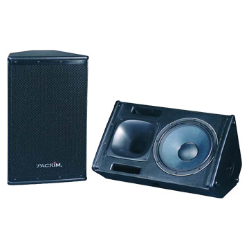  Professional Project Speaker (PS-15)