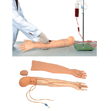  IV Injection Arm Model