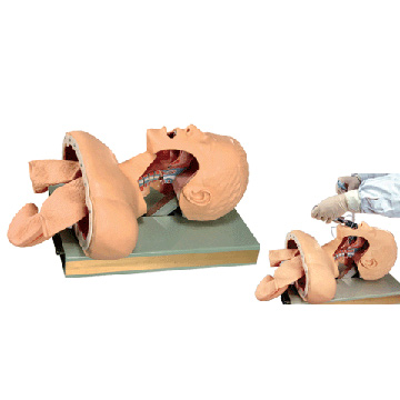  Airway Trainer (Тренер Airway)