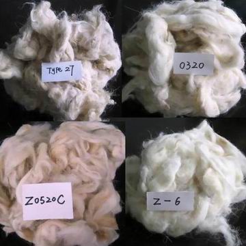 Schafwolle, Ziegenhaar, Cashmere und Abfall (Schafwolle, Ziegenhaar, Cashmere und Abfall)