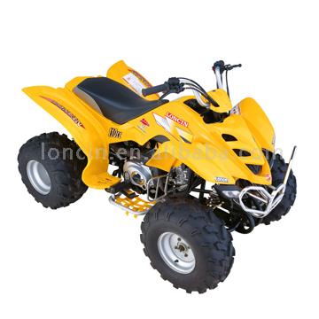  ATV LX110ST-F